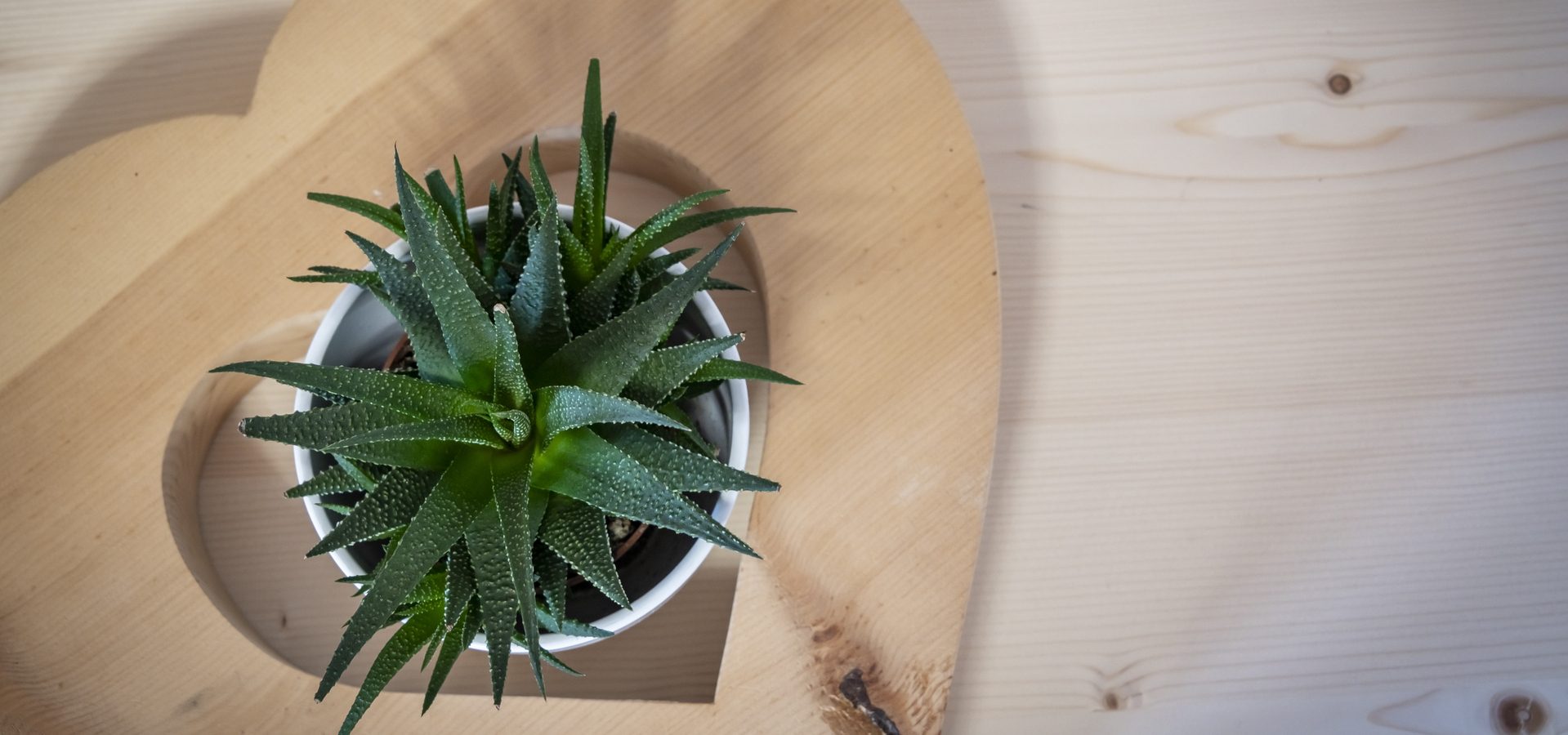 suite-romantic-10(1)